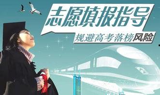 娱乐吃瓜君全球高考