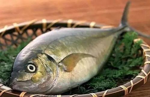 娱乐吃瓜鱼,揭秘娱乐圈那些不为人知的幕后故事